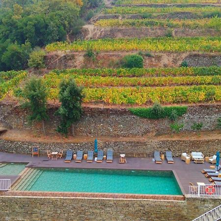 Quinta De Travassinhos- Douro Valley & Spa Santa Marta de Penaguião Eksteriør bilde