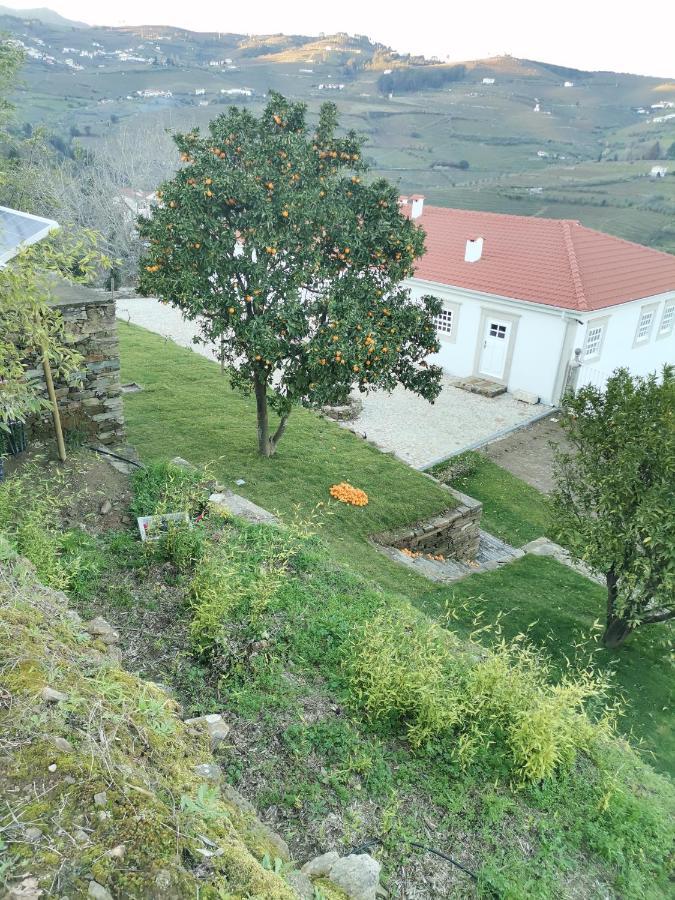 Quinta De Travassinhos- Douro Valley & Spa Santa Marta de Penaguião Eksteriør bilde