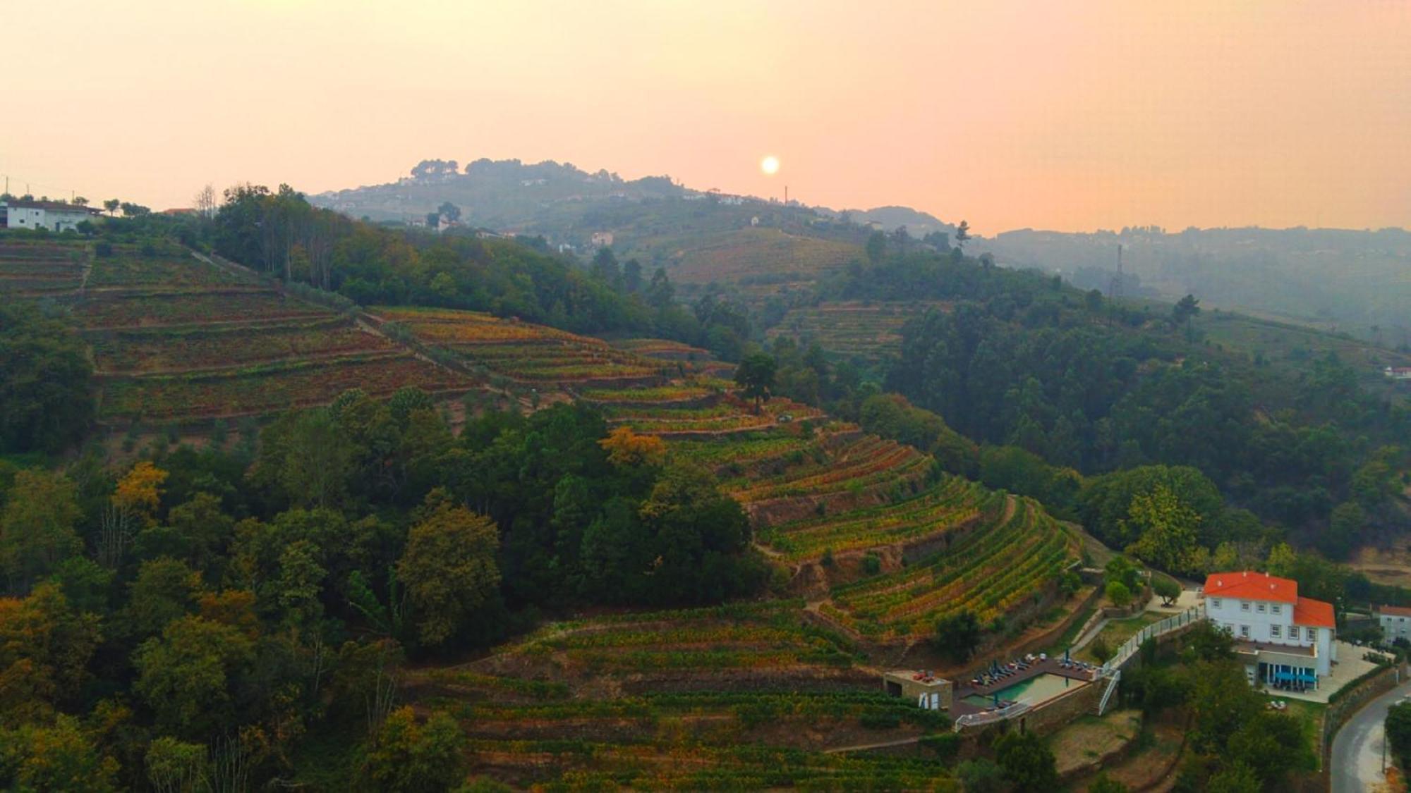 Quinta De Travassinhos- Douro Valley & Spa Santa Marta de Penaguião Eksteriør bilde