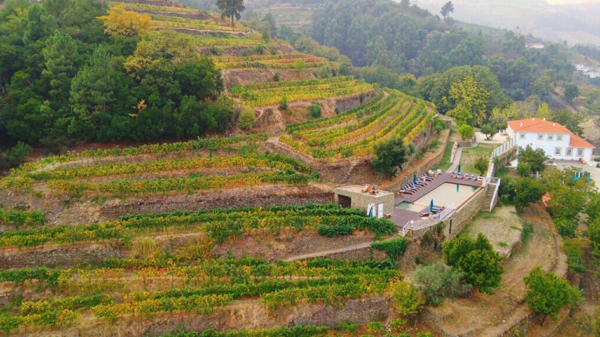 Quinta De Travassinhos- Douro Valley & Spa Santa Marta de Penaguião Eksteriør bilde